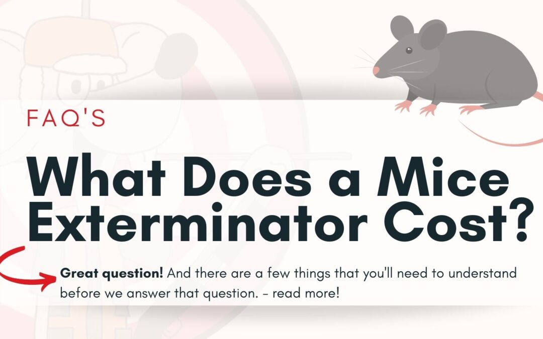 What Does a Mice Exterminator Cost?