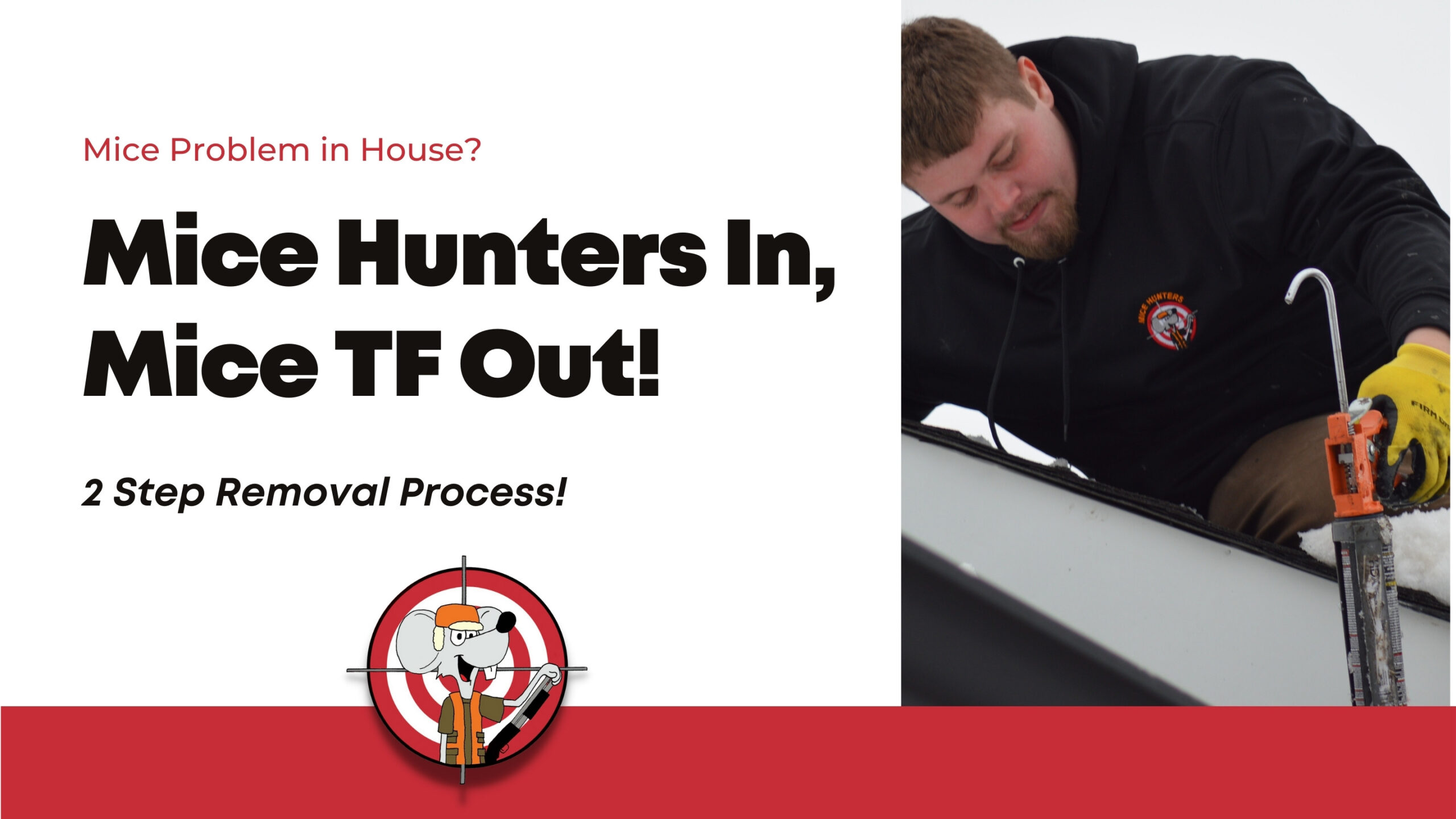 When it's Cold Outside, The Mice Arrive! | Mice Hunters Saves the Day ...
