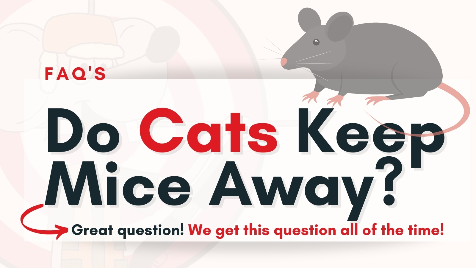 Do Cats Keep Mice Away? - Mice Hunters