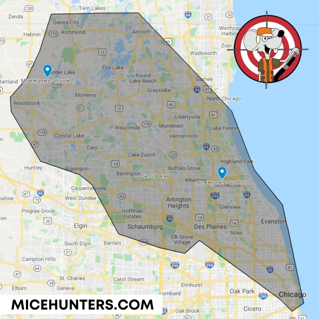 Mice Extermination Service Area & Locations around Chicago