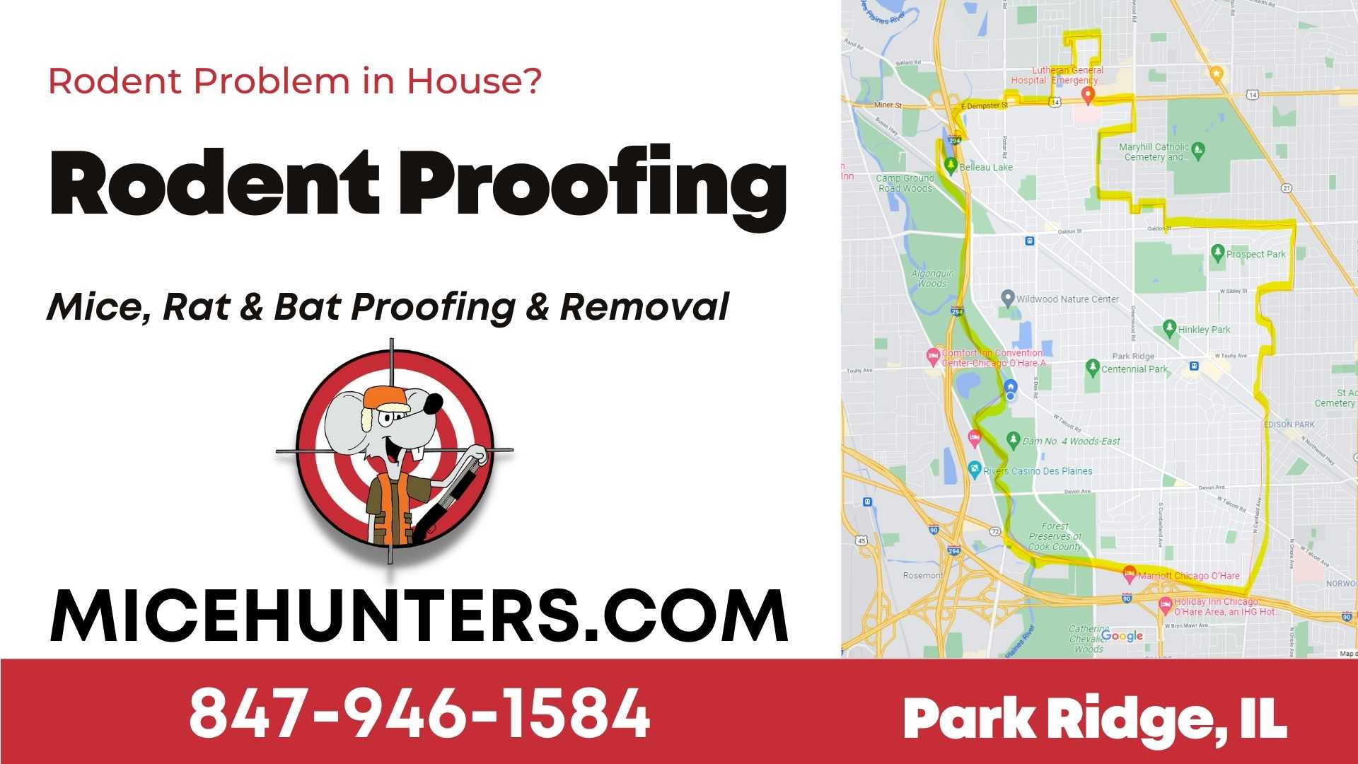 Park Ridge Rodent and Mice Proofing Exterminator near me