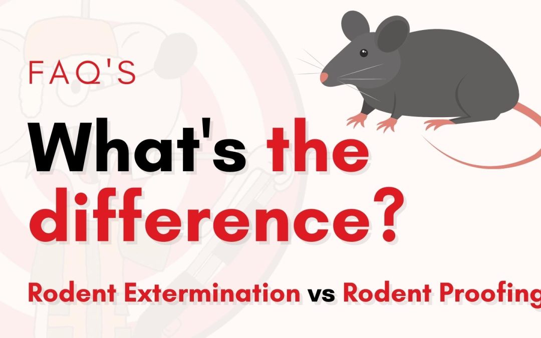 What is the difference Rodent Extermination vs Rodent Proofing