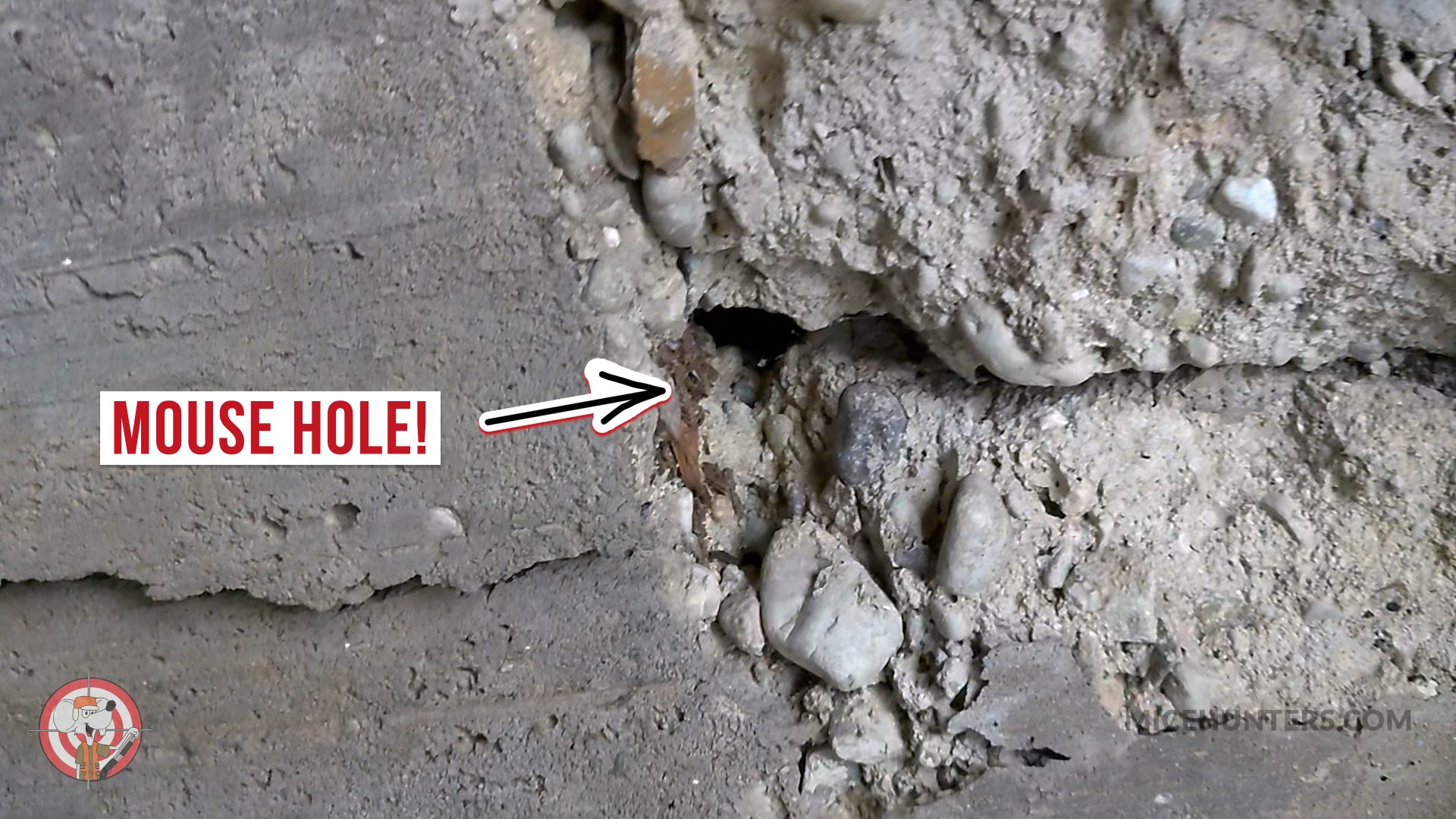 crack in foundation for mice
