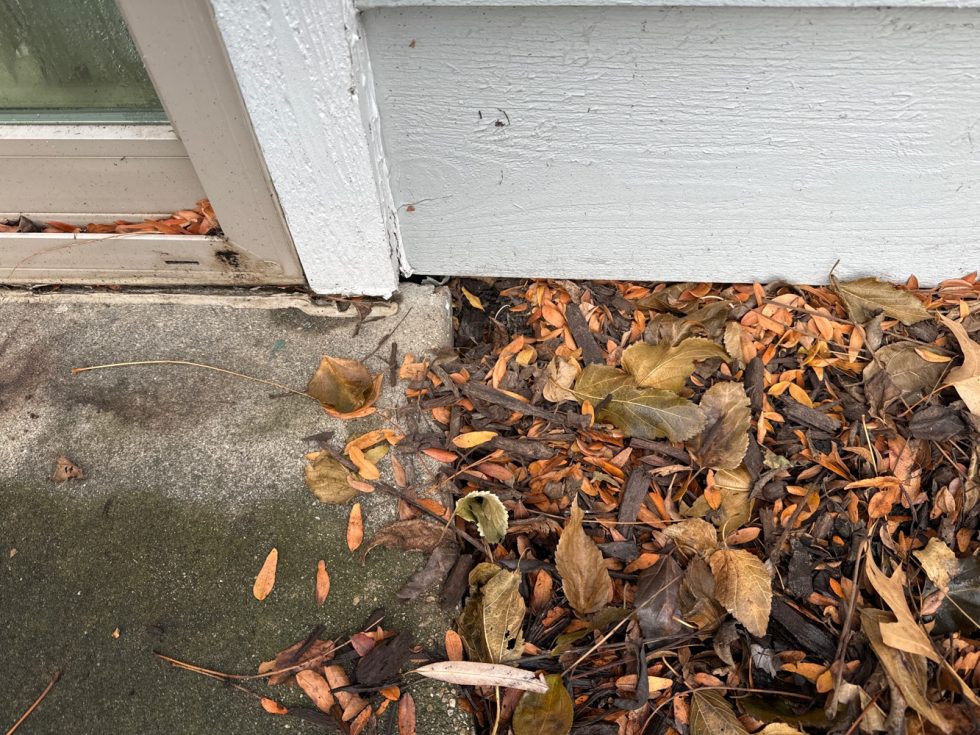 mice holes near sliding glass door